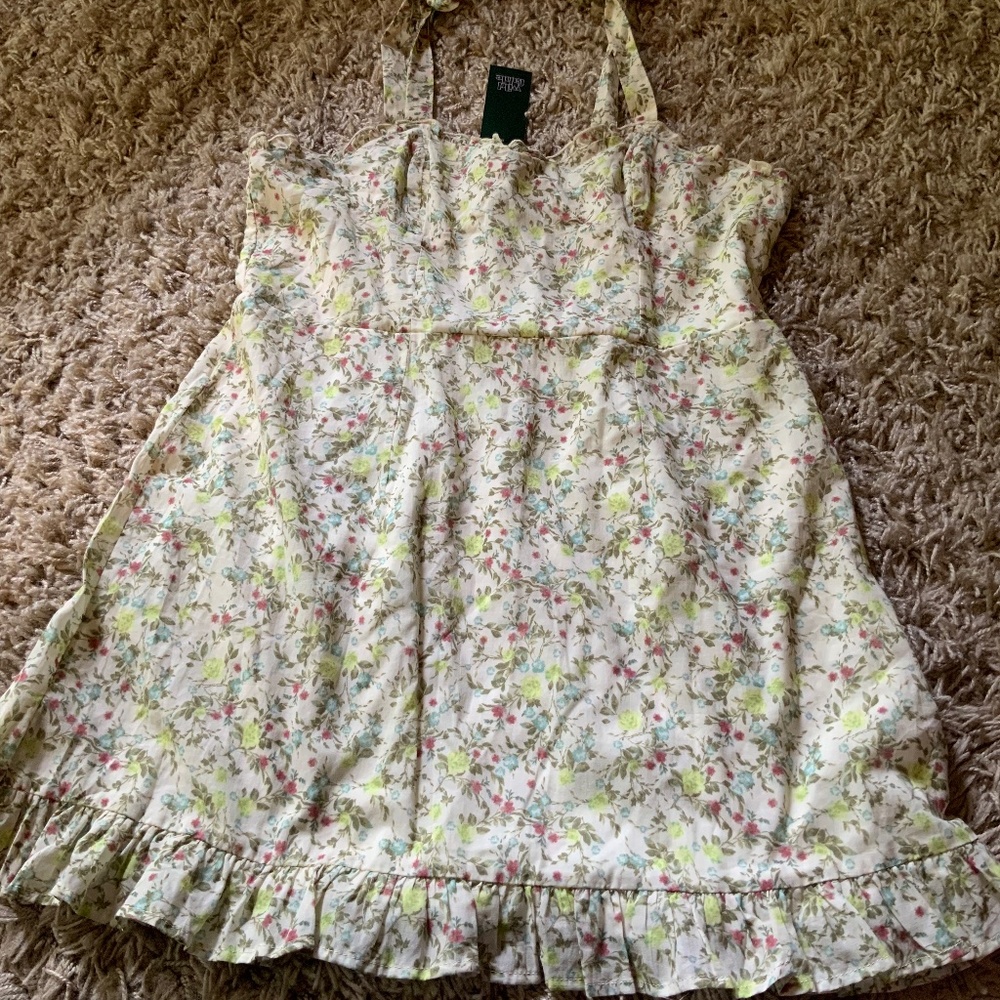 Wild Fable floral print A-line ruffled lined mini dress